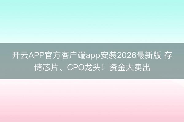 开云APP官方客户端app安装2026最新版 存储芯片、CPO龙头！资金大卖出